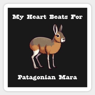 Patagonian Mara Sticker